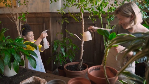 有关喷,多样化,多民族的免费素材视频