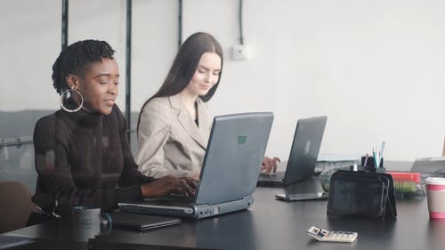 有关同事, 固定镜头, 团队的免费素材视频