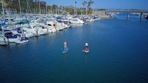 有关人, 停泊, 划桨的免费素材视频