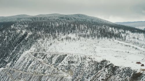 有关下雪的, 冬季, 冷的免费素材视频