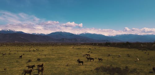 有关天空, 山, 日光的免费素材视频