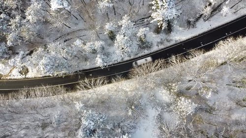 有关下雪的, 乡村小路, 交通系统的免费素材视频