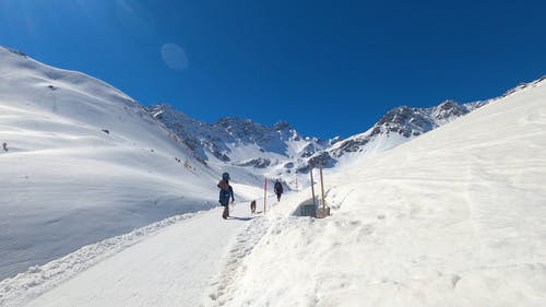 有关冒险, 冬季, 宠物的免费素材视频