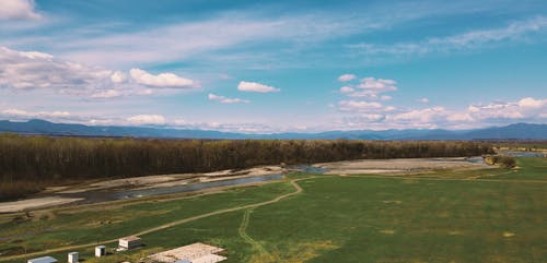 有关天性, 户外, 森林的免费素材视频