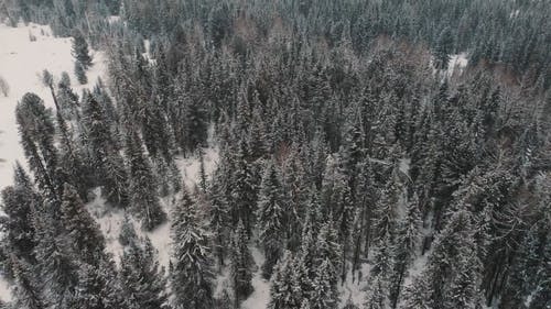 有关下雪的, 以上, 冬季的免费素材视频