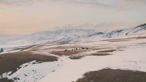 有关冬季, 山谷, 景观的免费素材视频