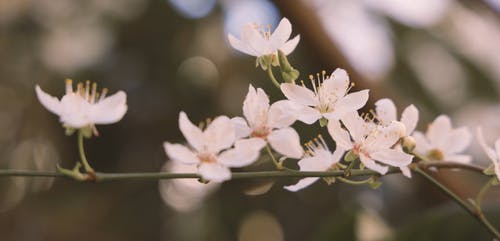 有关天性, 户外, 所迷离的免费素材视频