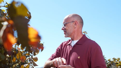 有关休闲, 侧面图, 光的免费素材视频