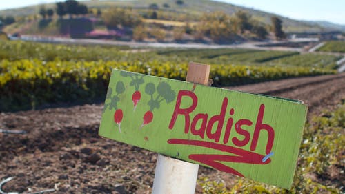 有关招牌, 特写, 生产的免费素材视频