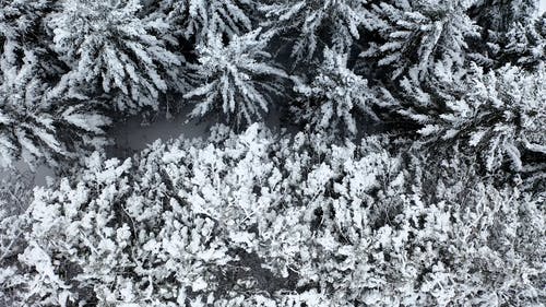 有关冰, 冻结的, 大雪覆盖的免费素材视频