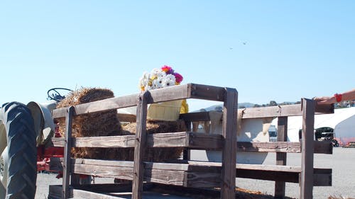 有关拖拉机, 步行, 看着的免费素材视频