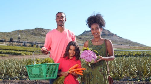有关健康, 天性, 女儿的免费素材视频