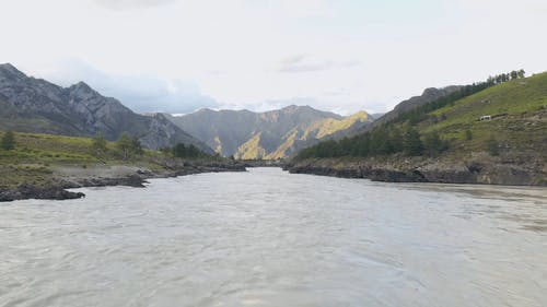 有关天性, 山, 树木的免费素材视频