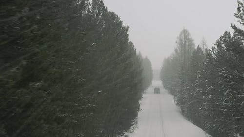 有关冬季, 大雪覆盖, 户外的免费素材视频