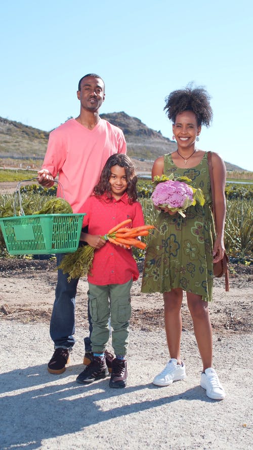 有关健康, 垂直视频, 天性的免费素材视频