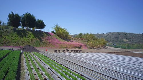 有关土, 广角拍摄, 手推车的免费素材视频