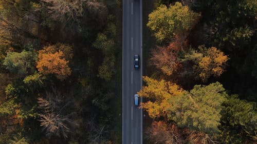 有关乡村小路, 俯视图, 指导的免费素材视频