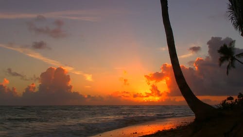 有关剪影, 加勒比海, 天堂的免费素材视频