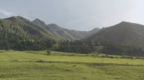 有关天性, 山, 平移拍摄的免费素材视频