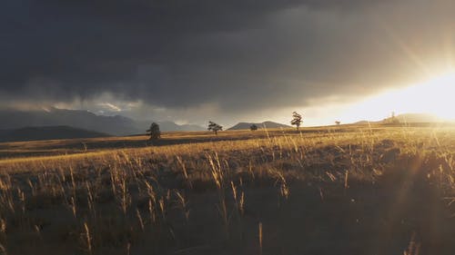 有关农业领域, 地平线, 天性的免费素材视频