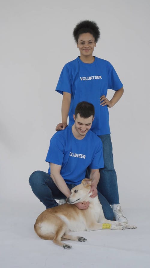 有关一起, 伸出援手, 保全的免费素材视频