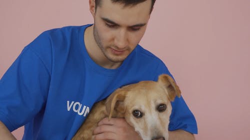 有关人, 动物, 宠物的免费素材视频