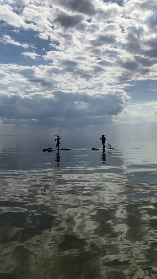有关人,反射,垂直视频的免费素材视频