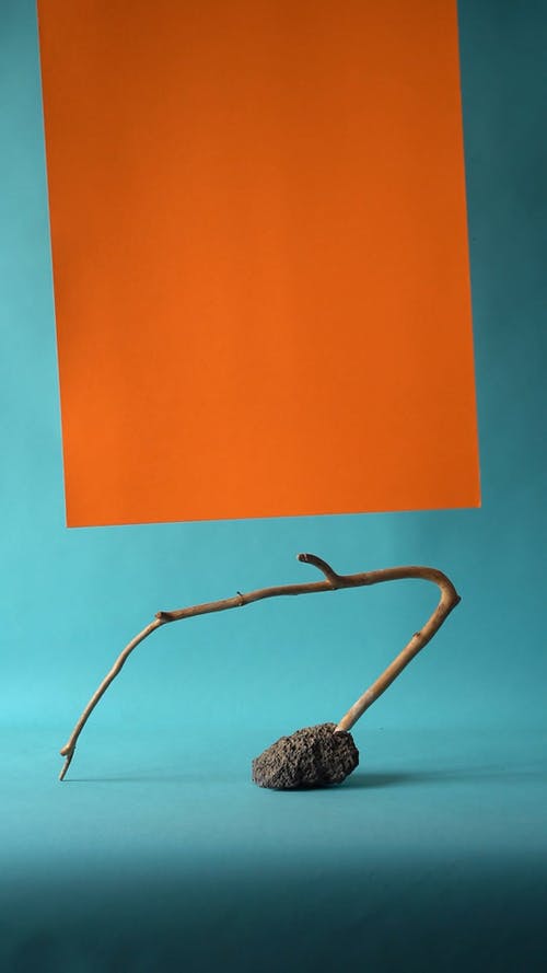 有关人, 光, 分公司的免费素材视频