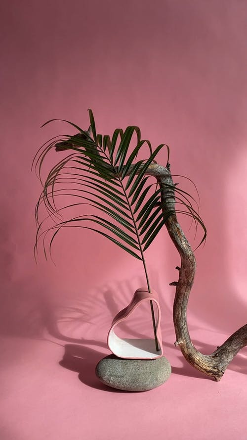 有关刮风, 原本, 垂直视频的免费素材视频