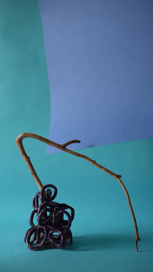 有关乾燥花,垂直视频,室内的免费素材视频