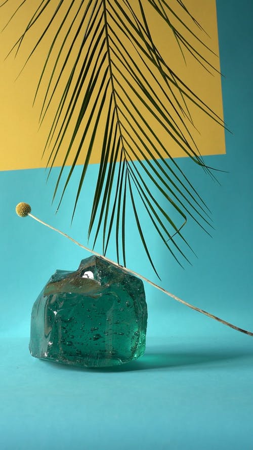 有关刮风, 垂直视频, 多风的免费素材视频