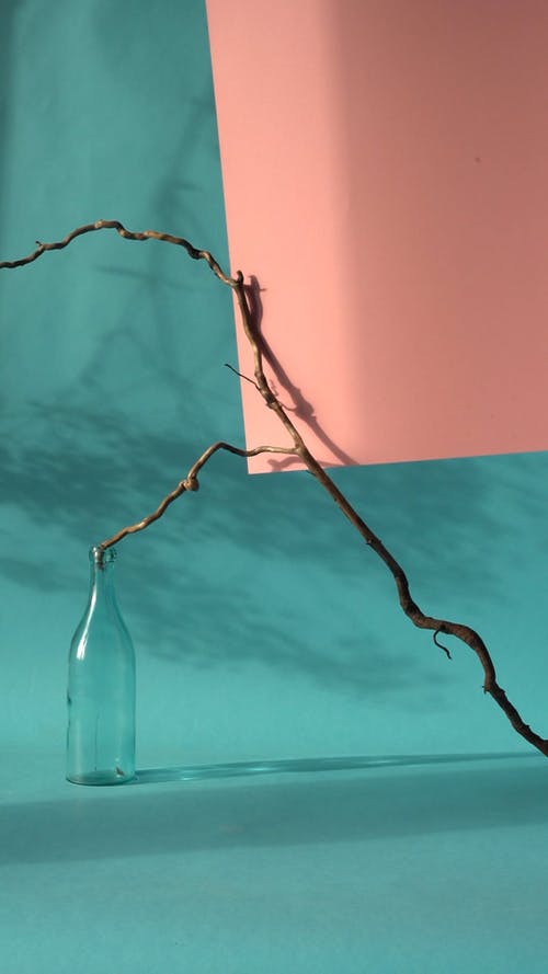 有关分公司, 垂直, 极简主义的免费素材视频