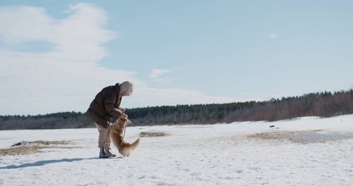 有关フグカサコ, 下雪的, 冬季的免费素材视频