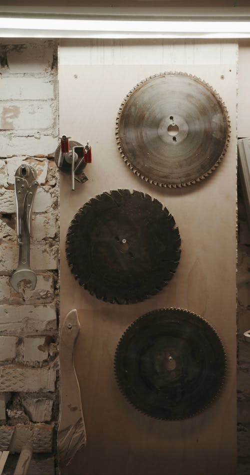 有关危险, 叶片, 圆形的的免费素材视频