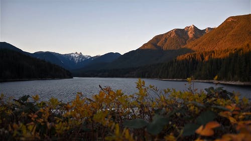 有关冷静, 天性, 宁静的免费素材视频