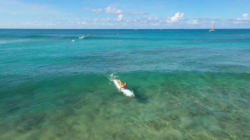 有关地平线, 平衡, 性感的的免费素材视频