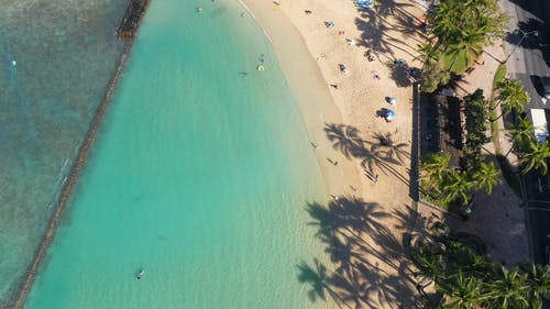 有关从上面查看, 娱乐, 度假村的免费素材视频
