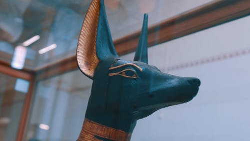 有关博物馆, 古老的, 埃及的免费素材视频