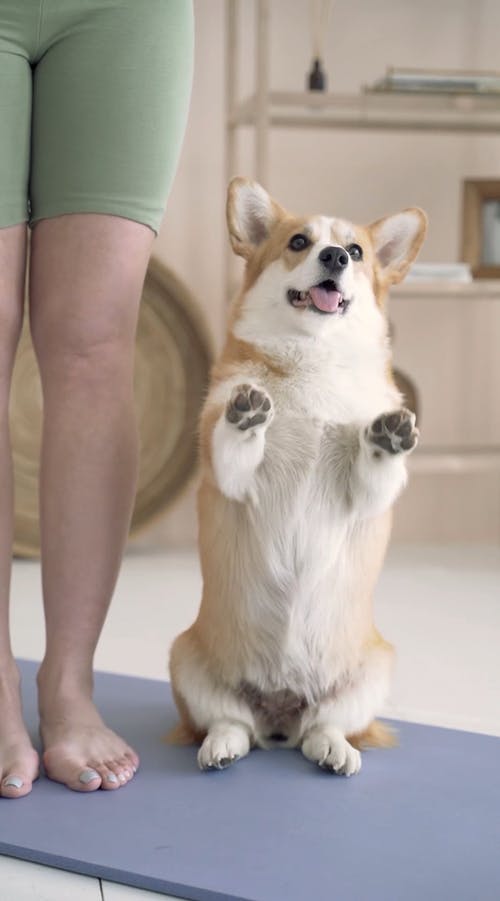 有关＃室内, 不露面, 人的免费素材视频