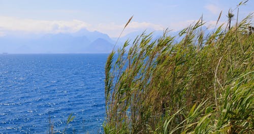 有关多云的, 工厂, 户外的免费素材视频