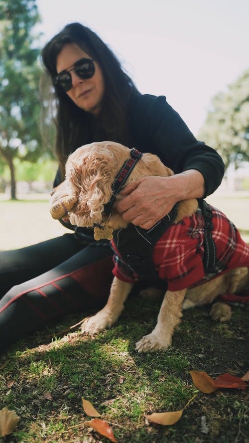 有关动物爱好者, 友谊, 垂直视频的免费素材视频