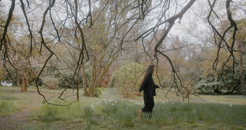 有关分支机构, 女人, 户外的免费素材视频