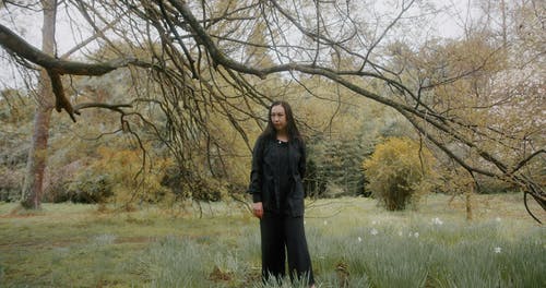 有关分支机构, 女人, 户外的免费素材视频