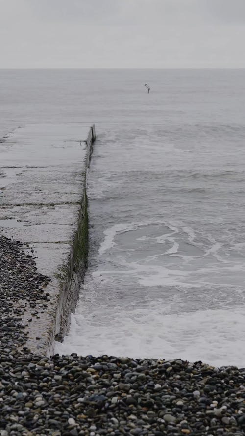 有关垂直视频, 波浪撞击, 海的免费素材视频