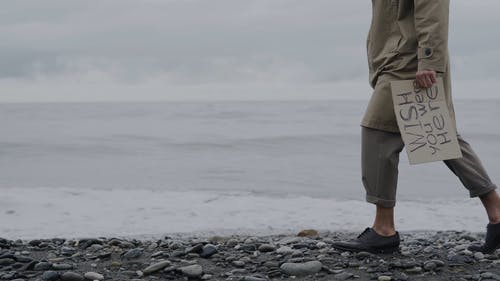 有关关系问题, 孤单, 小浪的免费素材视频