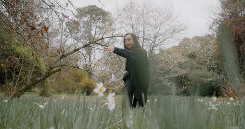 有关公园, 户外, 日光的免费素材视频