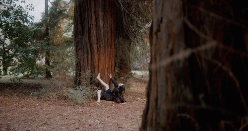 有关坐,概念的,树干的免费素材视频