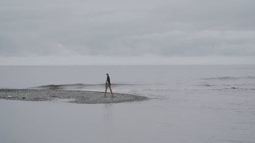 有关坐, 多风, 天性的免费素材视频