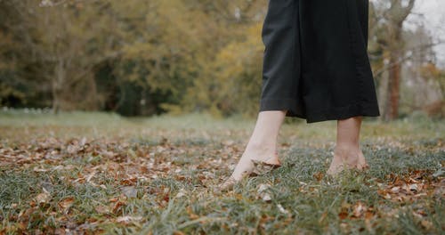 有关枯叶, 模糊的背景, 步行的免费素材视频