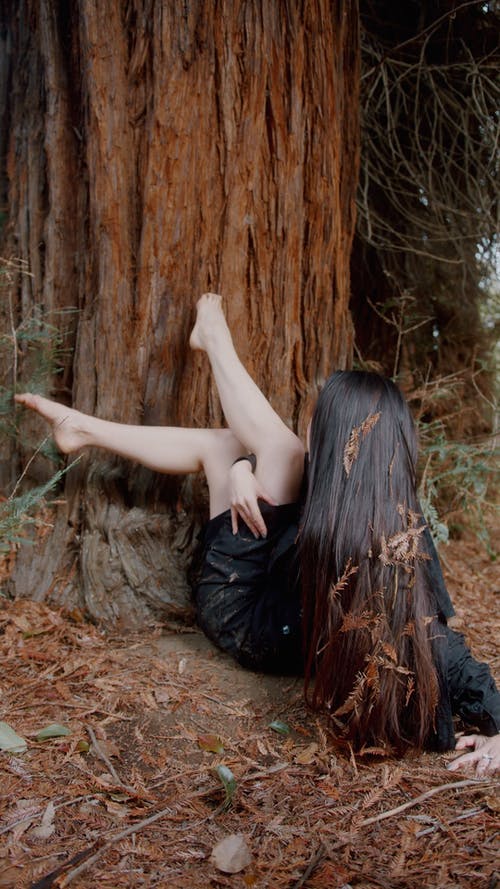 有关土, 地板, 地面的免费素材视频